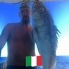 vincent_caccese